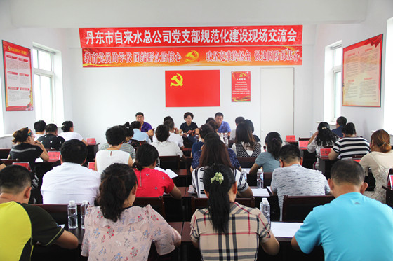 黨支部規(guī)范化建設交流_副本 黨支部規(guī)范化建設交流_副本